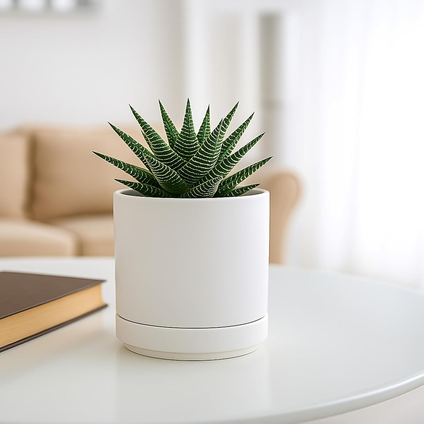 D'vine Dev Set of 2 Plants Pots, 6.5 Inch Ceramic Planter Pot for Plants with Drainage Hole and Saucer, White, 94-V-C-1