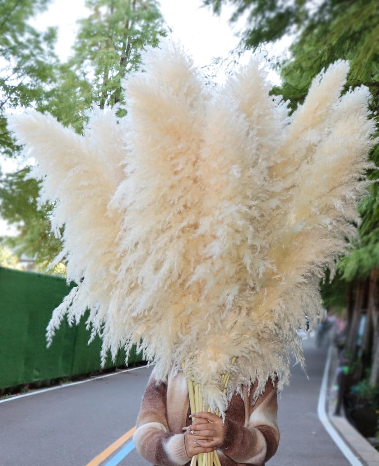 Pasuvsigt 12pcs 40'' Dried Pampas Grass Decor - Tall-Large Pampas Grass - Natural Beige - Boho Home Decor