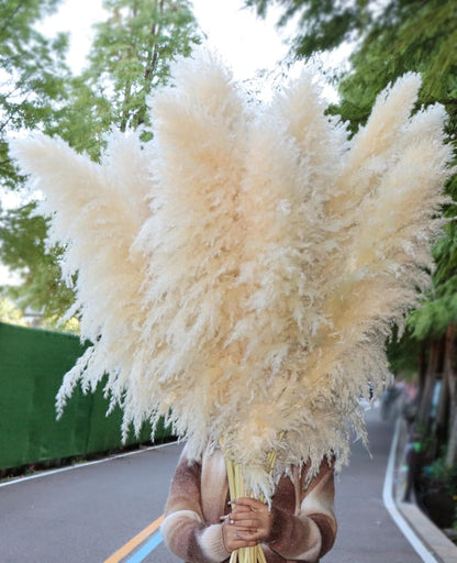 Pasuvsigt 12pcs 40'' Dried Pampas Grass Decor - Tall-Large Pampas Grass - Natural Beige - Boho Home Decor