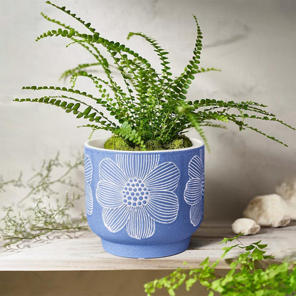 YBX 8 Inch + 6 Inch Ceramic Plant Pots, Succulent Flower Pots with Drainage Holes, Terracotta Planters for Indoor Plants, White&Terracotta (Garden)