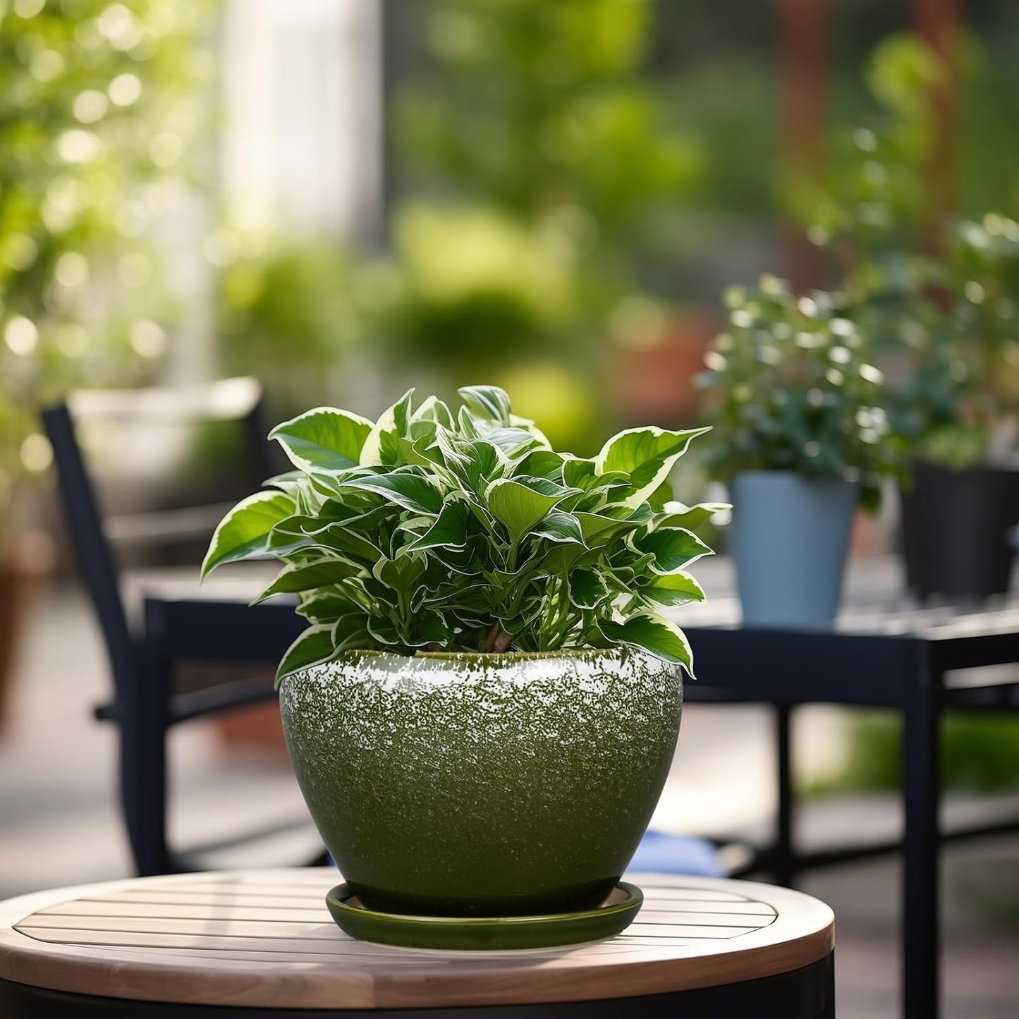 Ceramic Modern Glaze Succulent Planter Pot with Drainage Hole and Saucer 6 Inch Round Flower Plant Pot for Indoor Outdoor Herb Snake Plants