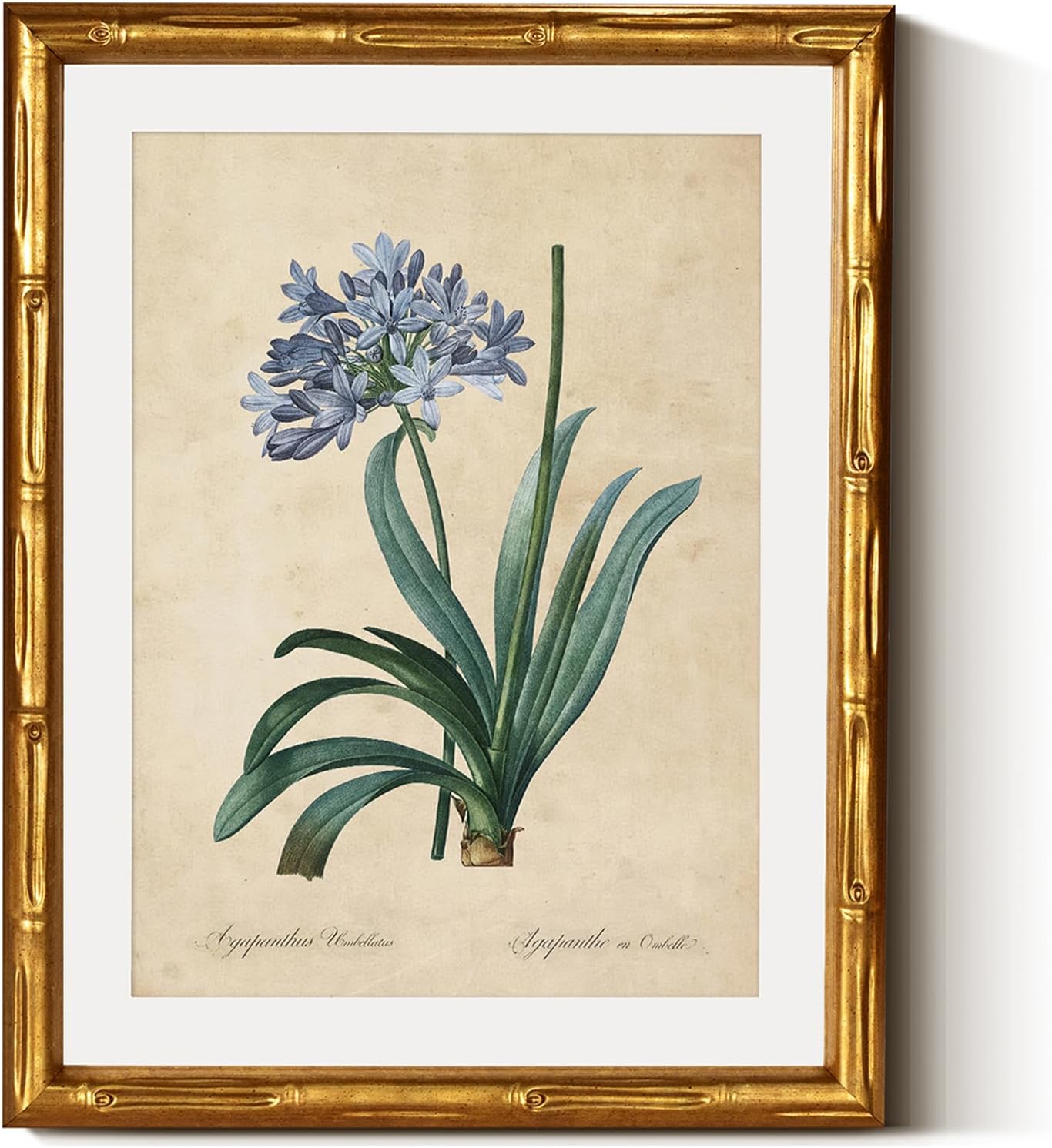 InSimSea Gold Bamboo Framed Canvas Wall Art, Retro Blue Hydrangea Botanical Prints, Antique Flowers Picture Frame with Mat, Victorian Home Wall Decor for Kitchen Living Room Bedroom, 11x14inch