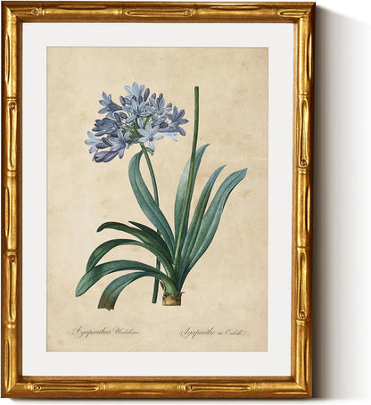 InSimSea Gold Bamboo Framed Canvas Wall Art, Retro Blue Hydrangea Botanical Prints, Antique Flowers Picture Frame with Mat, Victorian Home Wall Decor for Kitchen Living Room Bedroom, 11x14inch