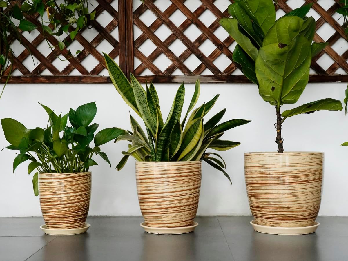 Ceramic Pots for Plants - 6 Inch Plant Pot with Drainage Hole and Saucer, Round Planters for Indoor Outdoor, Flower Pots, Modern Planter, Home Office Room Decor, Gifts for Plant Lovers, White