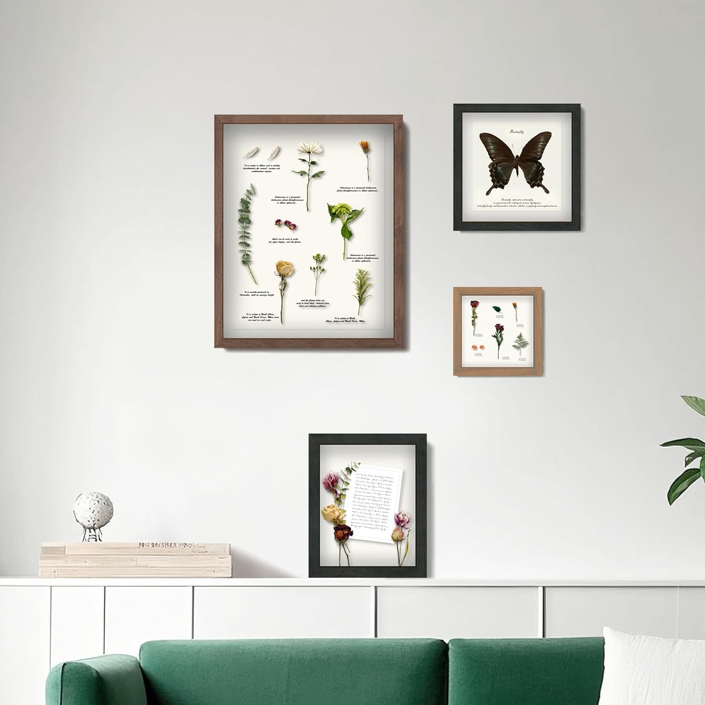 FrameWorks 11” x 14” Dark Oak Wooden Shadow Box Frame – Display Case with Soft Felt Back, Memory Box with Tempered Glass, Display Box with Elegant White Ball Push Pins, Wooden Flower Box