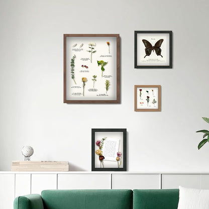 FrameWorks 11” x 14” Dark Oak Wooden Shadow Box Frame – Display Case with Soft Felt Back, Memory Box with Tempered Glass, Display Box with Elegant White Ball Push Pins, Wooden Flower Box