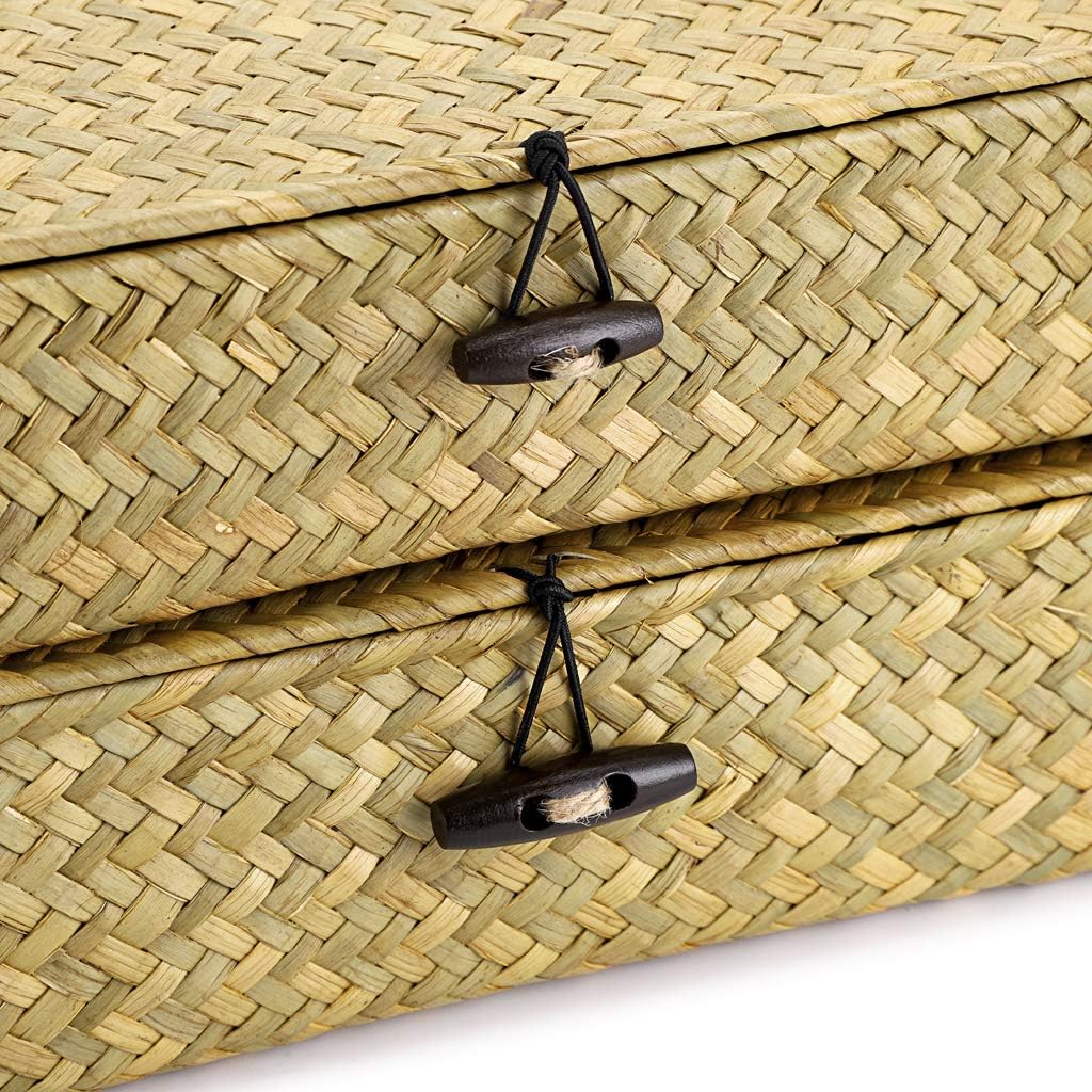 Hipiwe Set of 2 Flat Woven Wicker Storage Bins with Lid Natural Seagrass Basket Multipurpose Home Boxes for Shelf Organizer (Coffee)