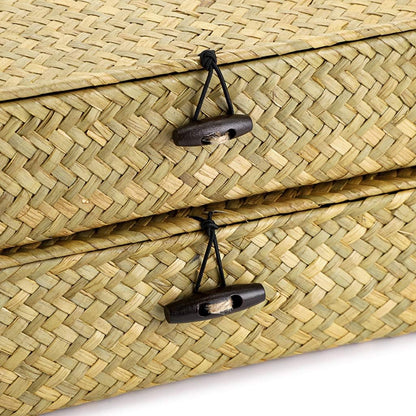 Hipiwe Set of 2 Flat Woven Wicker Storage Bins with Lid Natural Seagrass Basket Multipurpose Home Boxes for Shelf Organizer (Coffee)