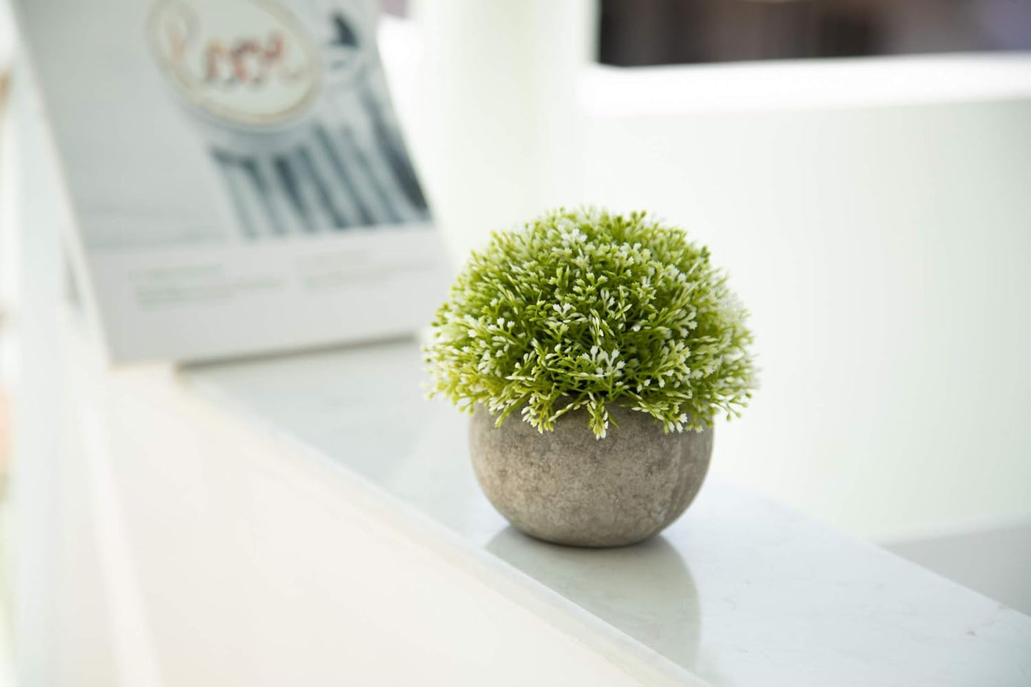 Velener Mini Sage Green Potted Boxwood Topiary Artificial Plants for Home Decor Indoor, Farmhouse House Plant Office Small Desk Shelf Apartment Coffee Bar Bathroom Decor Guest Room, Small Fake Plant