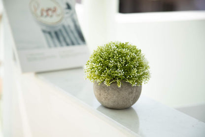 Velener Mini Sage Green Potted Boxwood Topiary Artificial Plants for Home Decor Indoor, Farmhouse House Plant Office Small Desk Shelf Apartment Coffee Bar Bathroom Decor Guest Room, Small Fake Plant