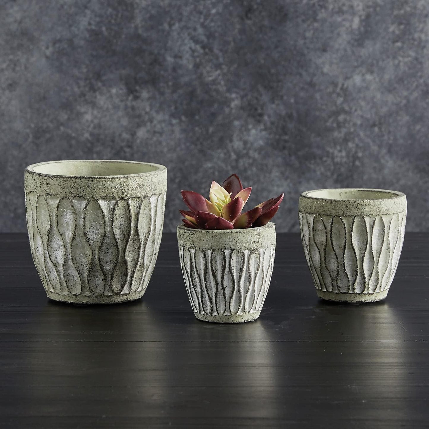 47th & Main Textured Round Cement Planter for Indoor or Outdoor Flowers Plants and More, Small, Leaf-Print