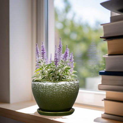 Ceramic Modern Glaze Succulent Planter Pot with Drainage Hole and Saucer 6 Inch Round Flower Plant Pot for Indoor Outdoor Herb Snake Plants