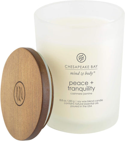 Chesapeake Bay Candle PT40886 Scented Candle Awaken + Invigorate (Lemongrass Eucalyptus) Medium Green Home Décor
