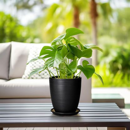 Ceramic Pots for Plants - 6 Inch Plant Pot with Drainage Hole and Saucer, Round Planters for Indoor Outdoor, Flower Pots, Modern Planter, Home Office Room Decor, Gifts for Plant Lovers, White