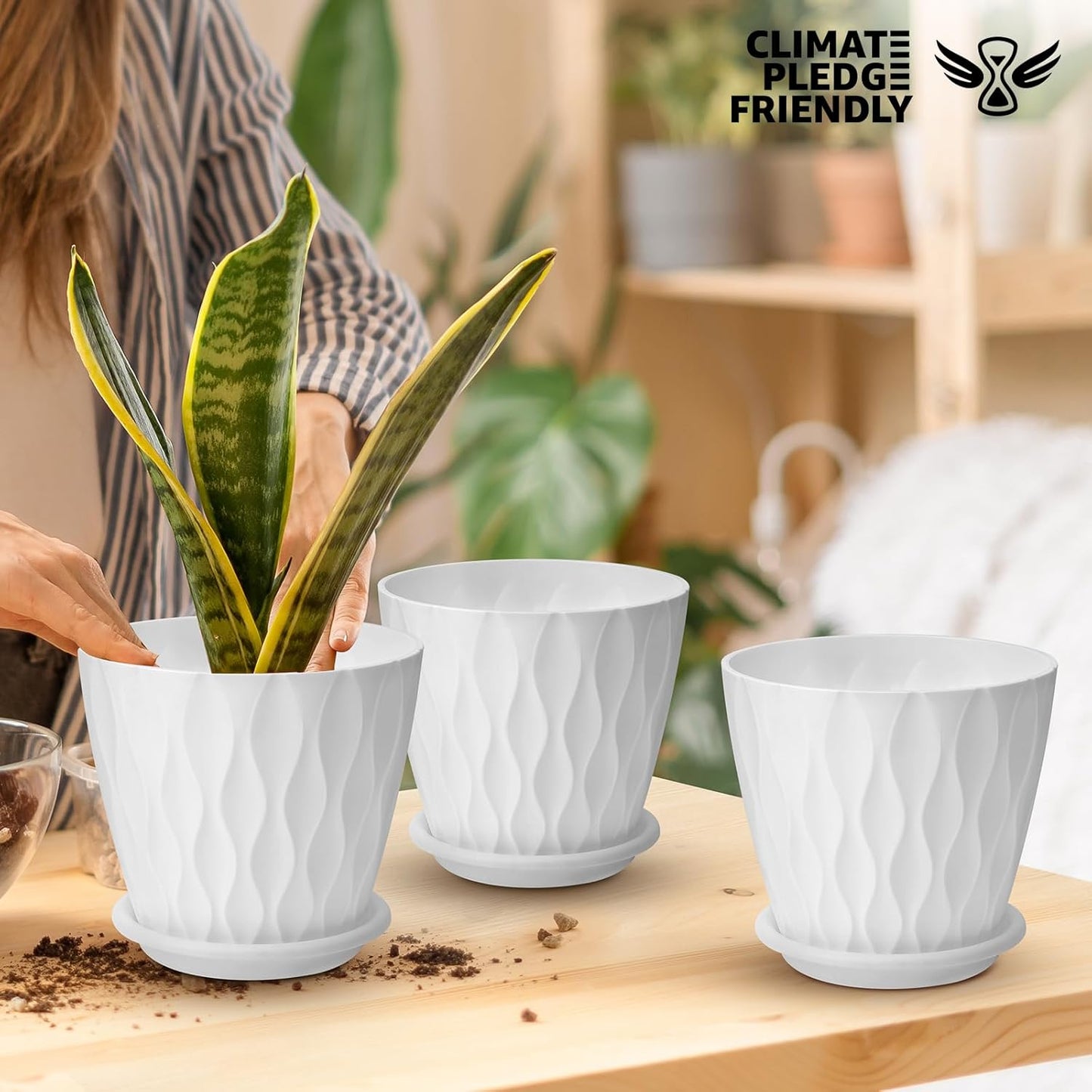YNNICO 6 inch Plant Pots, 5 Pack Flower Pots Outdoor Indoor, Planters with Drainage Holes and Tray Saucers（Multicolor）