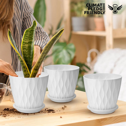 YNNICO 6 inch Plant Pots, 5 Pack Flower Pots Outdoor Indoor, Planters with Drainage Holes and Tray Saucers（Multicolor）
