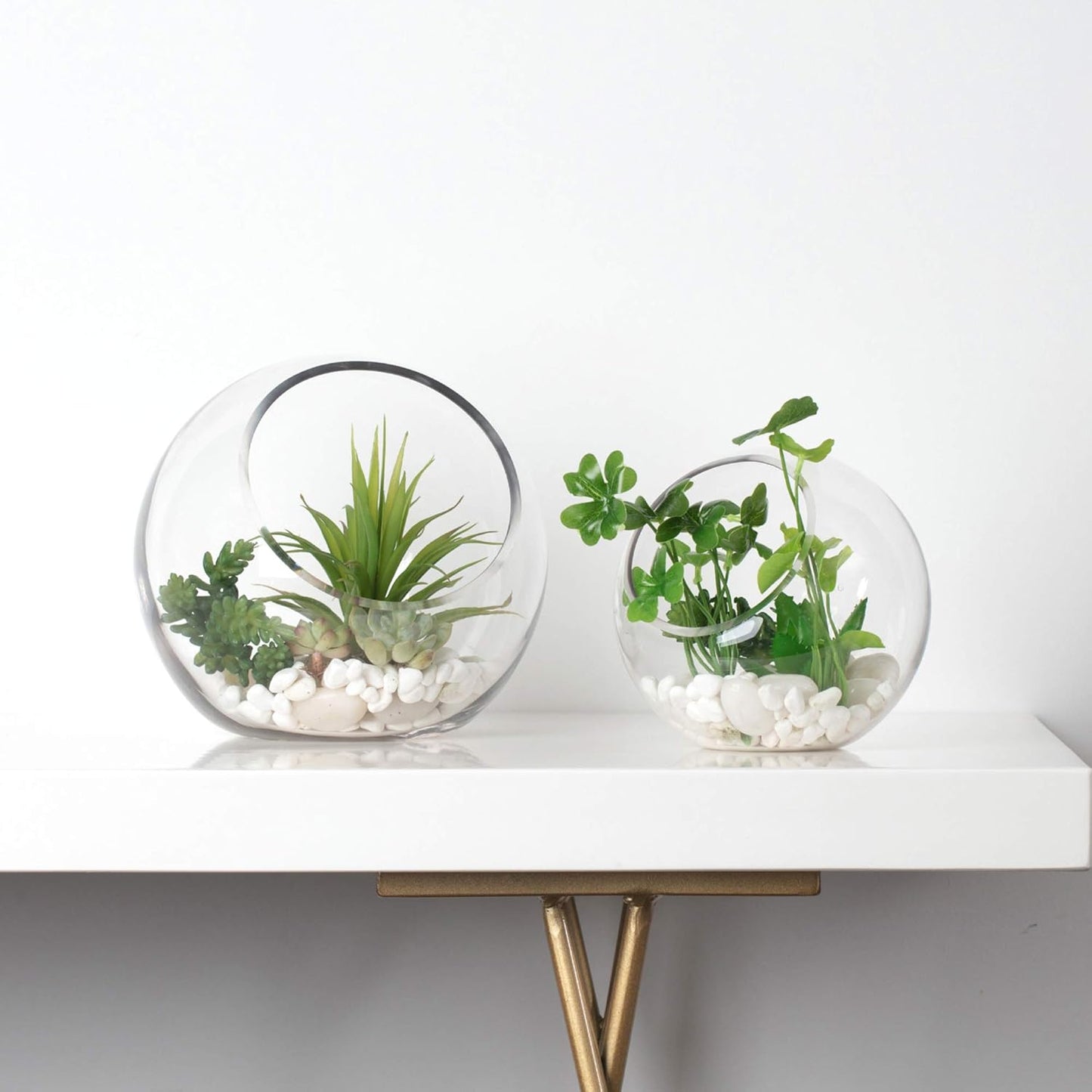 WGVI Clear Slant Cut Bowl Glass Vase, Glass Terrarium, Candy Dish, Glassware, Slant Open: 7". Height: 6" x 2.7". Base: 4" (1 Piece)