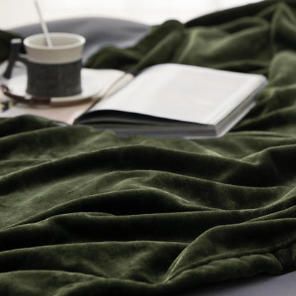Bedsure GentleSoft Fleece Throw Blanket for Couch Grey - Lightweight Plush Fuzzy Cozy Soft Blankets and Throws for Sofa, Couch, Travel, Camping, 50x60 inches - Colors A