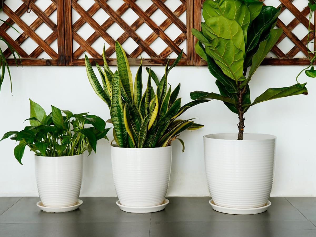 Ceramic Pots for Plants - 6 Inch Plant Pot with Drainage Hole and Saucer, Round Planters for Indoor Outdoor, Flower Pots, Modern Planter, Home Office Room Decor, Gifts for Plant Lovers, White