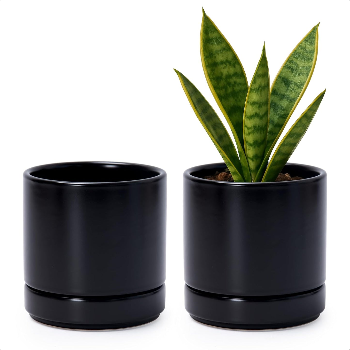 D'vine Dev Set of 2 Plants Pots, 6.5 Inch Ceramic Planter Pot for Plants with Drainage Hole and Saucer, White, 94-V-C-1