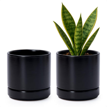 D'vine Dev Set of 2 Plants Pots, 6.5 Inch Ceramic Planter Pot for Plants with Drainage Hole and Saucer, White, 94-V-C-1