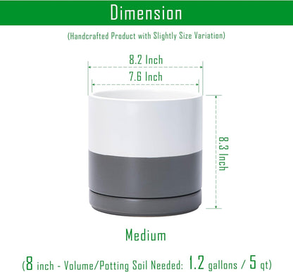 D'vine Dev Set of 2 Plants Pots, 6.5 Inch Ceramic Planter Pot for Plants with Drainage Hole and Saucer, White, 94-V-C-1