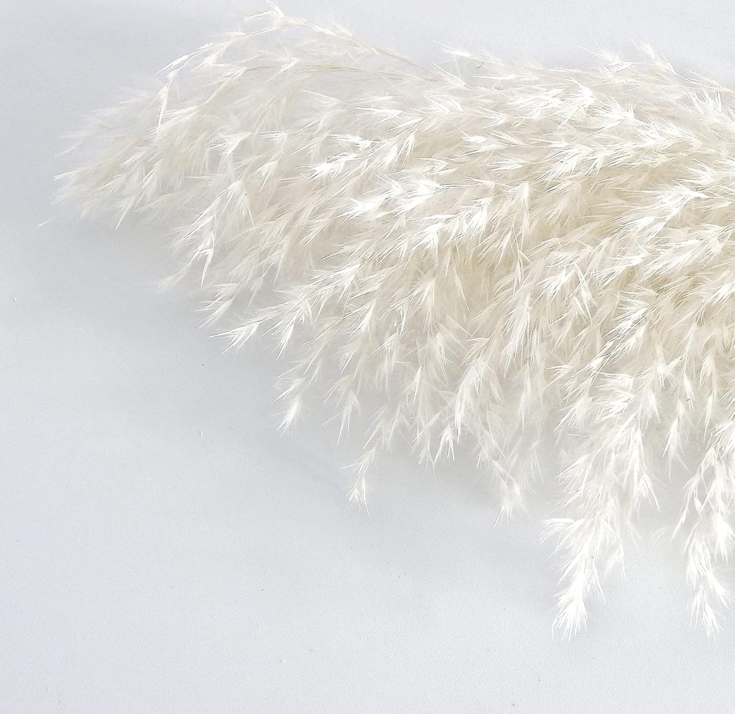 Pampas Grass Decor, Natural Dry Pampas Grass Small, Short Pampass Bulk for Farmhouse, Wall, Kitchen, Bedroom Decor, Office Decor (17 inch )
