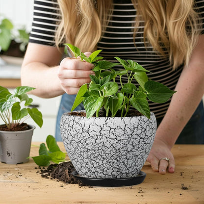 Ceramic Modern Glaze Succulent Planter Pot with Drainage Hole and Saucer 6 Inch Round Flower Plant Pot for Indoor Outdoor Herb Snake Plants