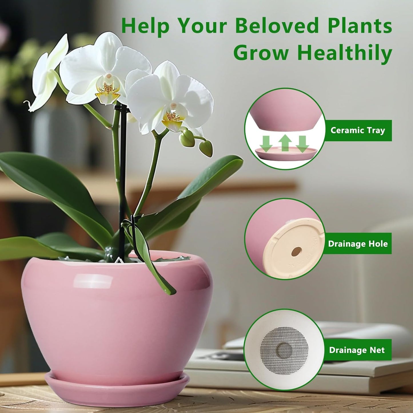 Ceramic Modern Glaze Succulent Planter Pot with Drainage Hole and Saucer 6 Inch Round Flower Plant Pot for Indoor Outdoor Herb Snake Plants