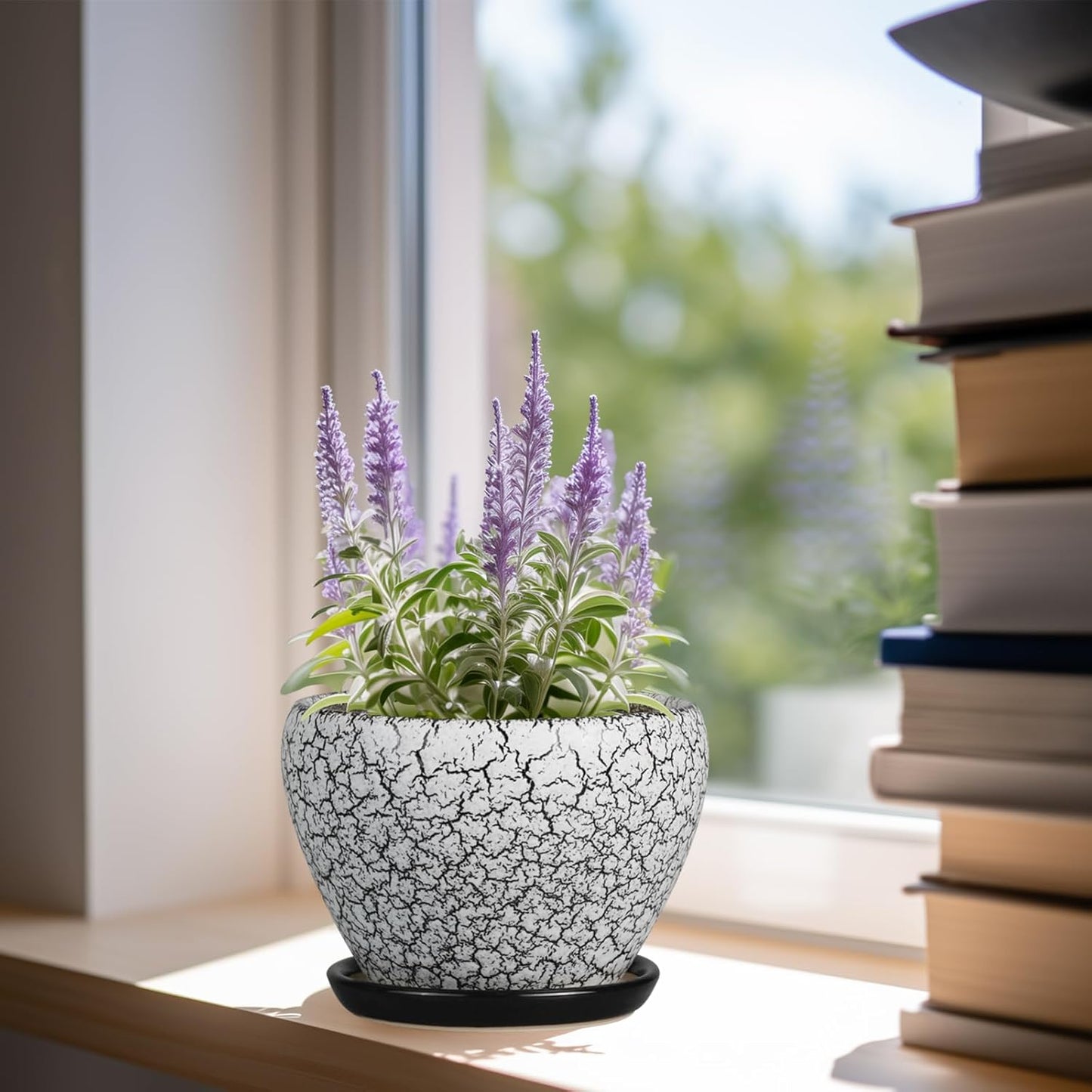 Ceramic Modern Glaze Succulent Planter Pot with Drainage Hole and Saucer 6 Inch Round Flower Plant Pot for Indoor Outdoor Herb Snake Plants