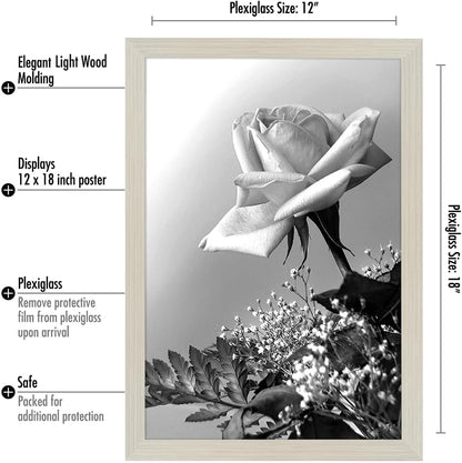 Americanflat 16x20 Picture Frame with Polished Plexiglass - Black Picture Frame - Wide Photo Frames Made of Engineered Wood for Vertical or Horizontal Wall Display - Epic Collection - Black - Colors B
