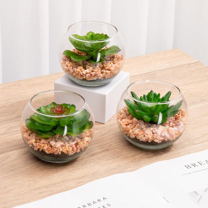 Briful Mini Fake Plants 4 Packs Succuletns Artificial Potted Plants in Cube Glass Vase Faux Succulents for Bathroom Living Room Kitchen Shelf Table Decor