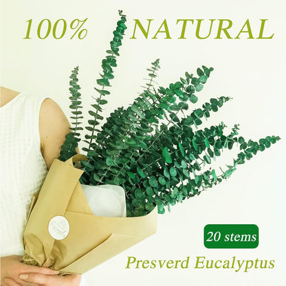 30Pcs Dried Eucalyptus Stems, 17" Real Preserved Eucalyptus Plant for Shower, Fresh Natural Branches for Vase, Eucalyptus Bundle for Home Decor, Wedding, Baby Shower, Bathroom