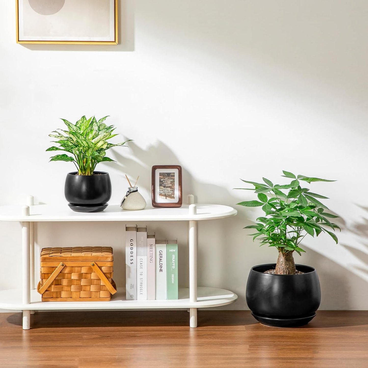 vancasso 3-Pack Ceramic Plant Pots, 3.7/4.8/6.2 Inch Indoor Planters with Saucers & Drainage Hole Planter pots for Indoor Plants and Flower, White