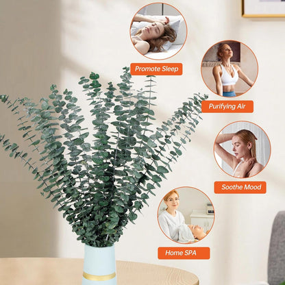 40 Pcs Dried Eucalyptus Stems for Shower, 17'' Natural Real Live Eucalyptus Leaves Branches Hanging Shower Plant for SPA Home Fragrance Bathroom Table Vase Decor