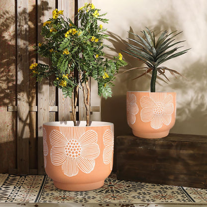 YBX 8 Inch + 6 Inch Ceramic Plant Pots, Succulent Flower Pots with Drainage Holes, Terracotta Planters for Indoor Plants, White&Terracotta (Garden)