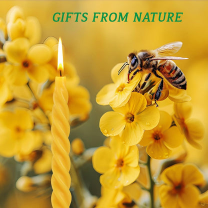 5 Inch Spirat Tapared Candles 10 Pack,0.78" Diameter Ivory Naturel Bee Candles Candlestick,7 Hours Long Lasting Smokeless and Unscented for Home Decoration
