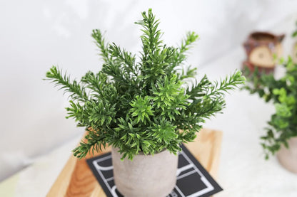 Der Rose 3 Pack Mini Potted Fake Plants Artificial Plastic Eucalyptus Plants Topiaries for Home Office Desk Farmhouse Shelf Room Bathroom Decor(Sage Green)
