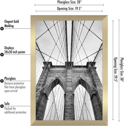 Americanflat 16x20 Picture Frame with Polished Plexiglass - Black Picture Frame - Wide Photo Frames Made of Engineered Wood for Vertical or Horizontal Wall Display - Epic Collection - Black - Colors C