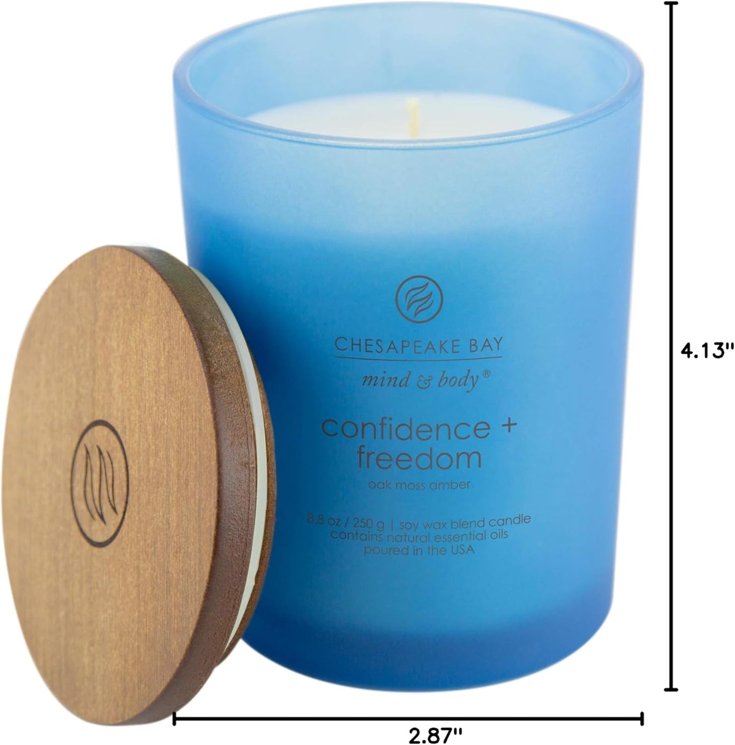 Chesapeake Bay Candle PT40886 Scented Candle Awaken + Invigorate (Lemongrass Eucalyptus) Medium Green Home Décor