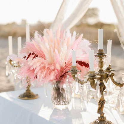 N&T NETING Dried Pampas Grass Decor- White Pampas Grass, Brown Pampas, Bunny Tail, Reed, Fluffy Dried Pompas Grass Flower for Home Wedding Table Vase Boho Modern Decor, 75Pcs