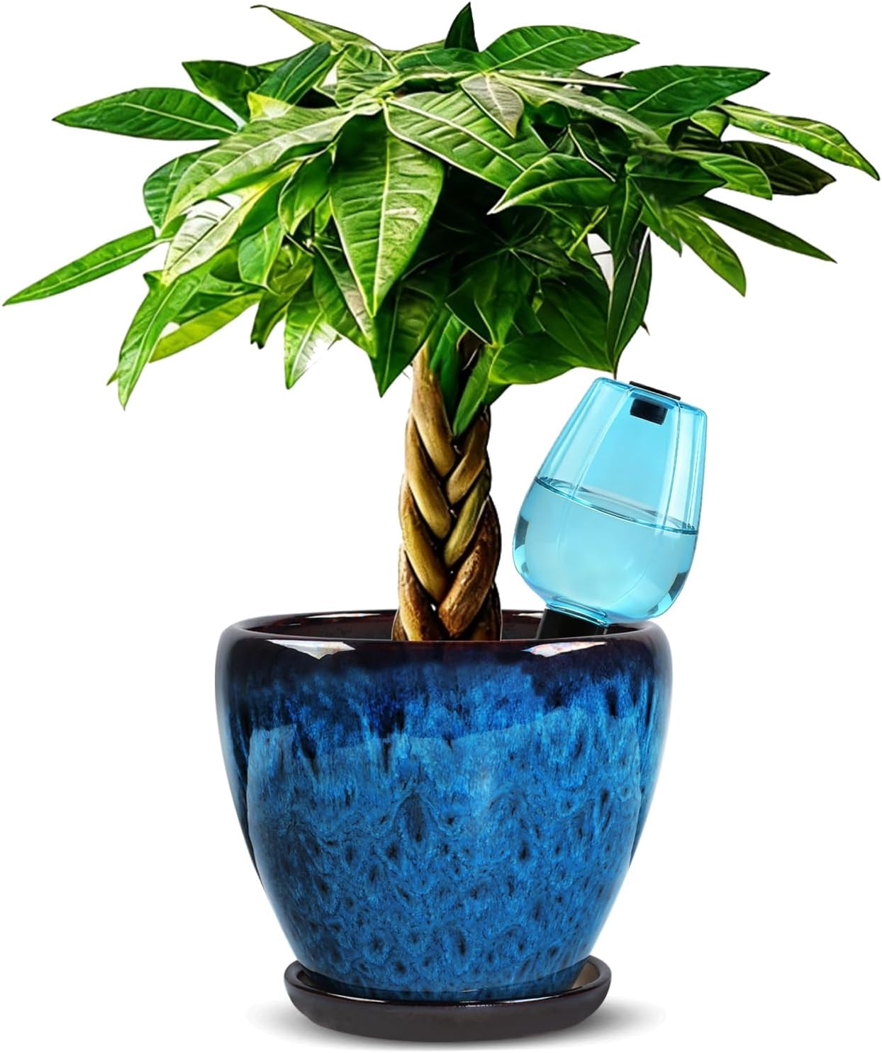 Ceramic Plant Pots with Saucer, 6 inch Glaze Planters for Indoor Plants with Drainage Holes, Decorative Small Flower Pots Outdoor, Modern Succulent Pots for Home Room Decor