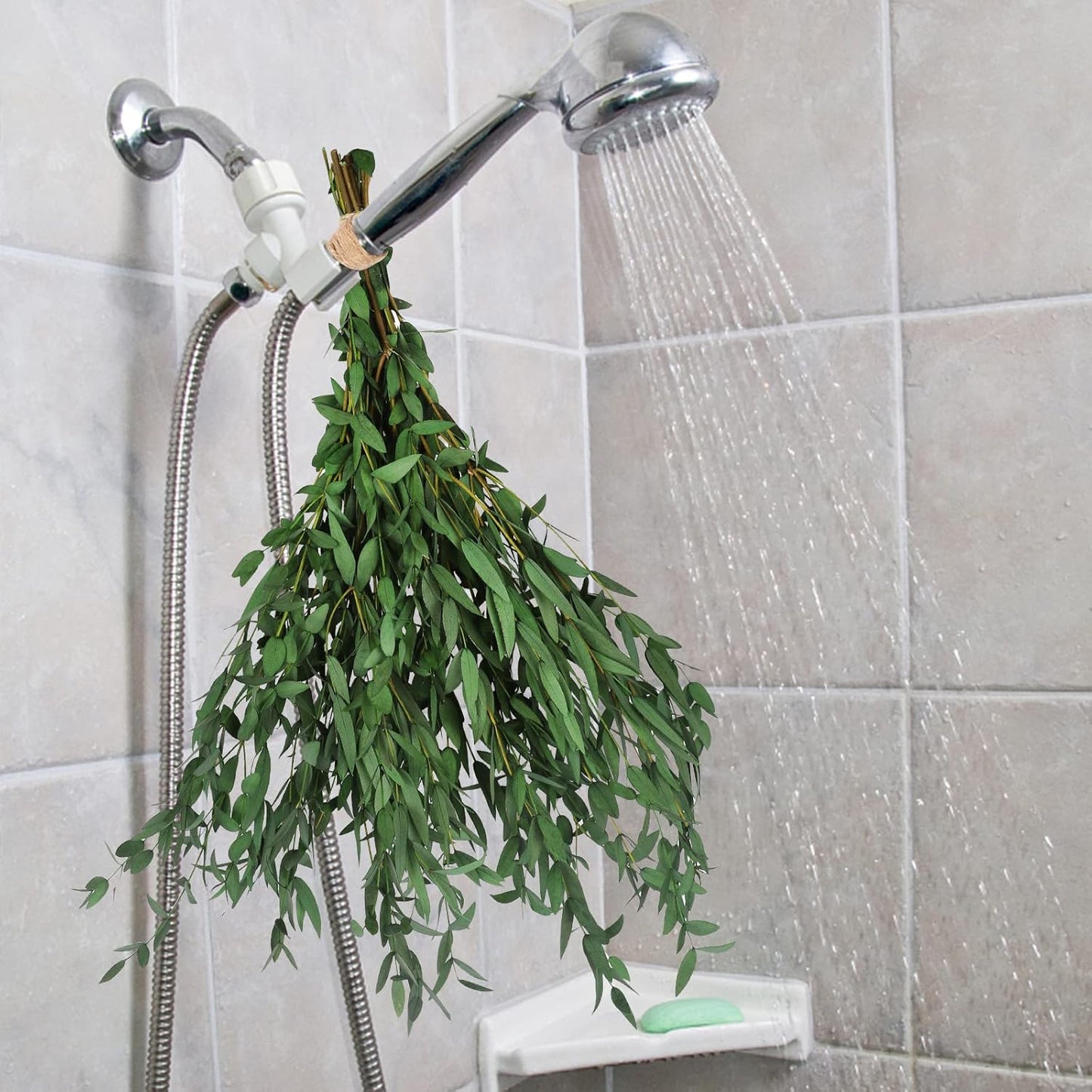 Real Eucalyptus Stems 20PCS Dried Preserved Fresh Eucalyptus Silver Dollar Leaves for Shower - Greenery Branches for Wedding Home Party Vase Filler Spring Decor