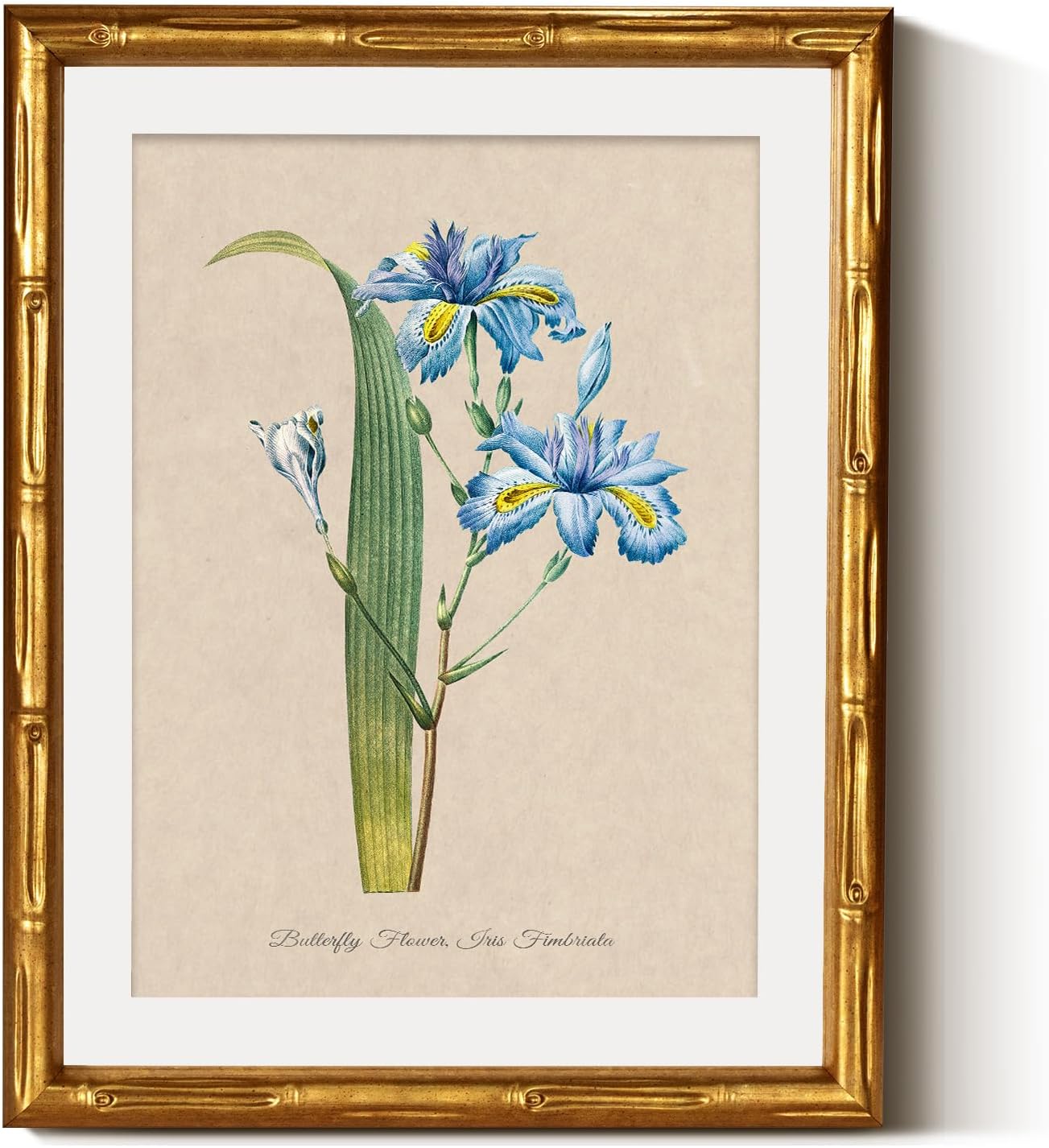 InSimSea Gold Bamboo Framed Canvas Wall Art, Retro Blue Hydrangea Botanical Prints, Antique Flowers Picture Frame with Mat, Victorian Home Wall Decor for Kitchen Living Room Bedroom, 11x14inch
