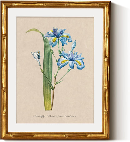 InSimSea Gold Bamboo Framed Canvas Wall Art, Retro Blue Hydrangea Botanical Prints, Antique Flowers Picture Frame with Mat, Victorian Home Wall Decor for Kitchen Living Room Bedroom, 11x14inch