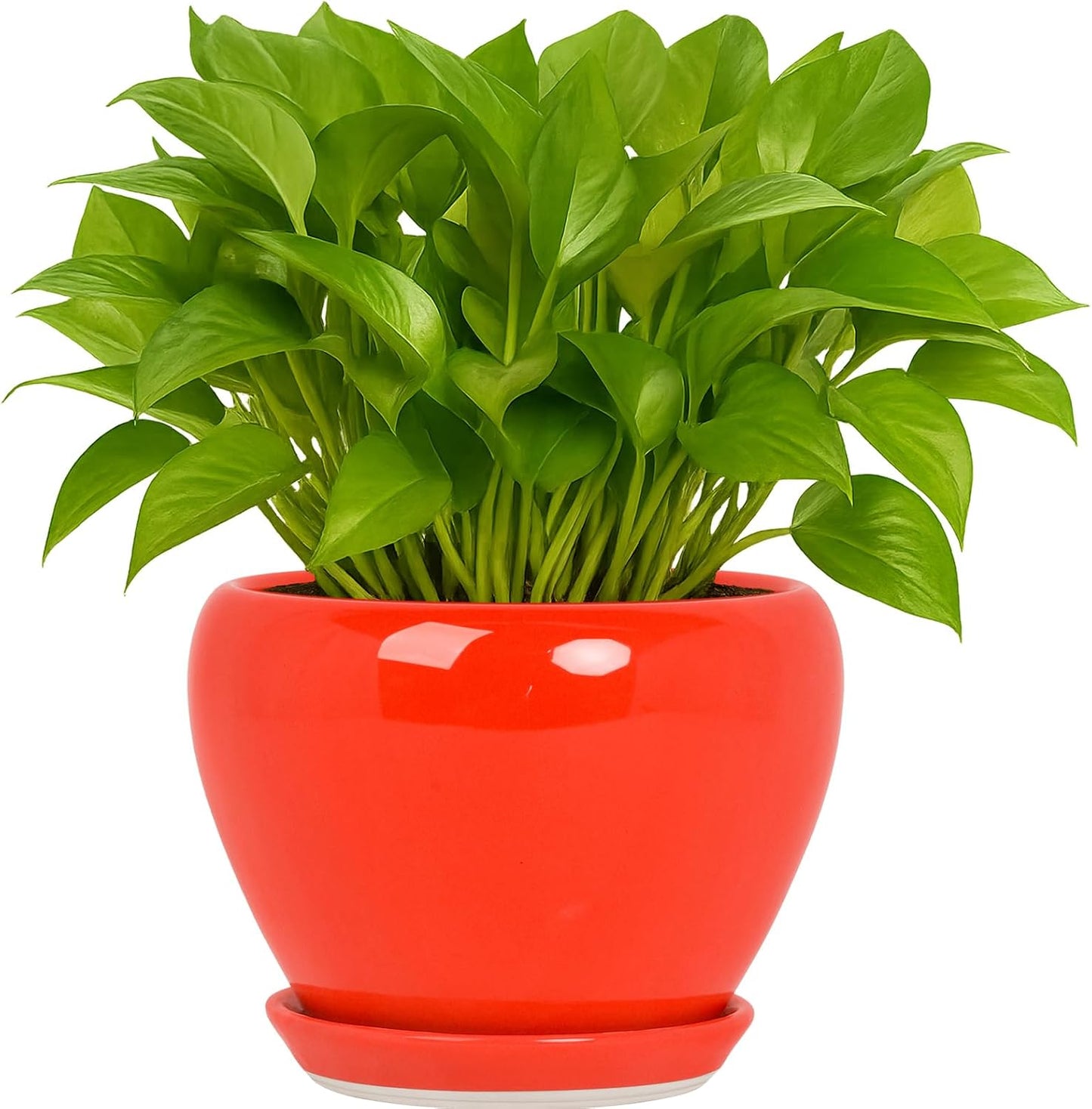 Deep Dream 6 Inch Plant Pots- Ceramic Planter Pot with Drainage Hole and Saucer, Round Flower Pot for Indoor Outdoor Succulent, Snake Plants and Cactus, Blue