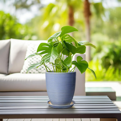 Ceramic Pots for Plants - 6 Inch Plant Pot with Drainage Hole and Saucer, Round Planters for Indoor Outdoor, Flower Pots, Modern Planter, Home Office Room Decor, Gifts for Plant Lovers, White