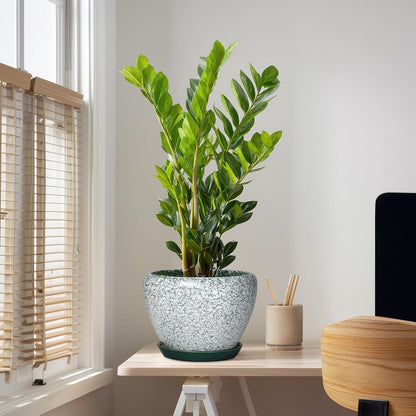 6 Inch Plant Pot - Ceramic Pots for Plants with Drainage Hole and Saucer, Round Succulent Planter Indoor Outdoor, Modern Flower Pot for Snake Plants, Home Decor, Gifts for Plant Lover, Blue