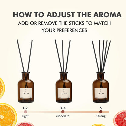 Reed Diffuser Set, 8.12 fl.oz Eucalyptus Scented Diffuser with Sticks, Up to 120 Days, Home Fragrance Reed Diffuser for Bathroom Shelf Decor & Room Freshener, 2 Pack