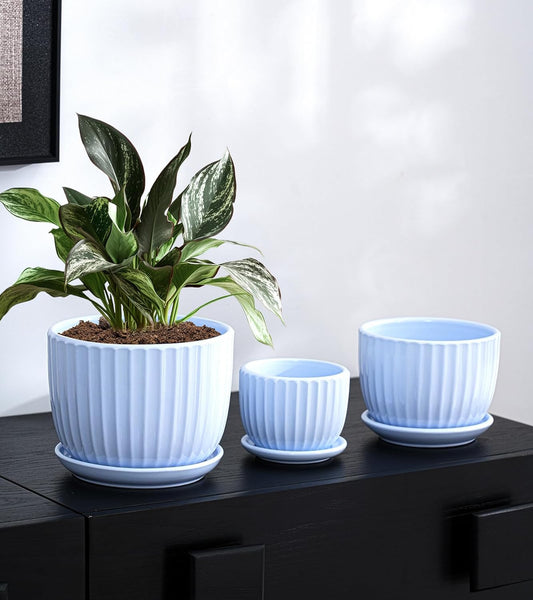 Ton Sin Pink Gold Ceramic Flower Pots, 4"+5"+6" Inch Small Glazed Succulent Planters with Drainage Hole,Modern Indoor Decorative Plant Pots Set of 3,Garden Pots with Saucer